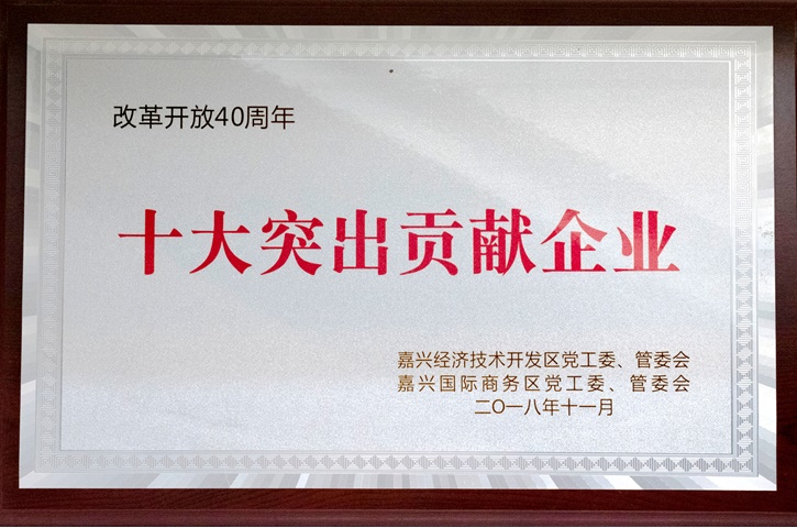 十大突出贡献企业